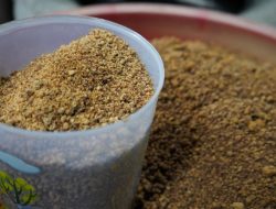 Lewat Pendampingan Usaha Gula Semut, Reforma Agraria Bangkitkan Kemandirian Ekonomi Desa Hargorejo di Kulon Progo