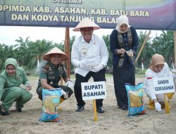 Gerakan Tanam Padi Gogo Digelar di Asahan
