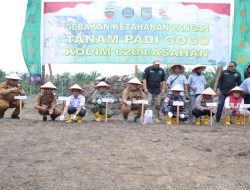 Pemkab dan Kodim 0208/Asahan Kolaborasi Tanam Padi Gogo