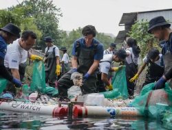 Kolaborasi BRI Peduli dan Sungai Watch, Bersihkan Puluhan Ton Sampah di Sungai Tukad Badung