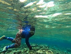 Para Perempuan Penantang Ombak Togean: Gigih Mencari Gurita Demi Keluarga