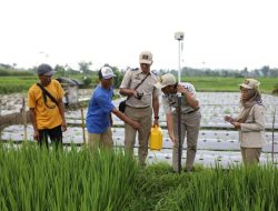 Kementerian ATR/BPN Tegaskan Tidak Ada Program Pemutihan Sertipikat Tanah