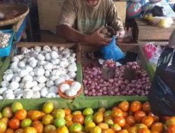 Jaga Transparansi Harga, Disdagkop Kotamobagu Rilis Daftar Harga Bahan Pokok Terbaru di Pasaran