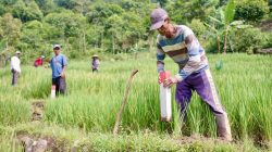 Biaya PTSL Berbeda Tiap Daerah, Ini Rincian Resminya dari ATR/BPN