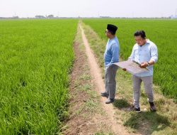 Siapkan 129 Ribu Hektare Lahan, Menteri Nusron Dorong Hunian Vertikal dan Kota Satelit