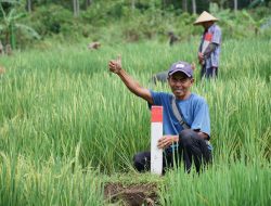 ATR/BPN Bagikan Tips Cegah Penyerobotan Tanah, Pastikan Batas dan Legalitas Jelas