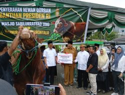 Gubernur Gusnar Ismail Serahkan Sapi Kurban Bantuan Presiden Prabowo di UNG