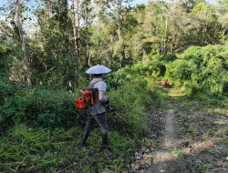 Pemdes Poyowa Kecil Bersihkan Jalan Perkebunan, Dukung Aktivitas Petani