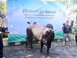Serahkan Hewan Kurban di Ponpes Darunnajah, Menteri Nusron Tekankan Pentingnya Kebersamaan