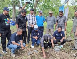 Kabupaten Gorontalo Kembangkan Nilam Jadi Komoditas Unggulan Baru, Siap Bidik Pasar Global
