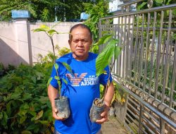 Pemerintah Desa Poyowa Kecil Salurkan Bantuan Bibit Kakao kepada Petani