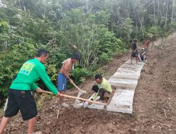 Pemdes Poyowa Kecil Bangun Jalan Rabat Beton Menuju Kawasan Perkebunan