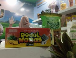 Dodol Nenas Khas Riau Laris Manis di PENAS XVII