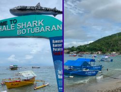 Wisata Hiu Paus Botubarani: Pelajaran tentang Blue Accounting dari Masyarakat Pesisir