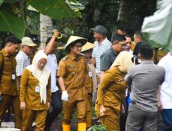 Hadiri Panen Perdana BUMDes Monompia, Rendy Mangkat Dorong Penguatan Ketahanan Pangan Desa