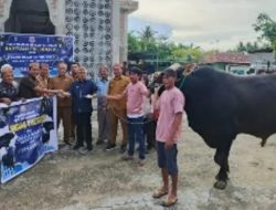Bupati Gorontalo Serahkan Sapi Kurban Bantuan Presiden Prabowo untuk Warga Telaga Jaya