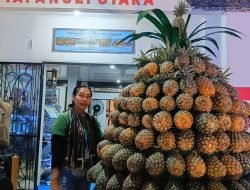 Nanas Sipahutar Taput Tembus Pasar Arab Saudi, Dipajang di PRSU ke-50
