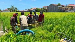 Antisipasi Gagal Panen Akibat Kekeringan, UPTD Balintan Gorontalo Gencarkan Pompanisasi