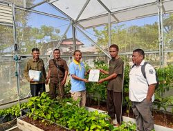 Dukung Pangan Aman, UPTD BPMKP Gorontalo Beri Sertifikat Prima 3 untuk Komoditas Tomat