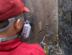 Udara Sejuk Bandung Nyaman untuk Penghuni, Tapi Juga untuk Rayap