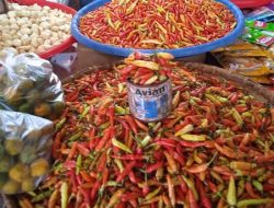 Kabar Gembira dari Pasar 23 Maret, Harga Bahan Pokok Kotamobagu Masih Terkendali
