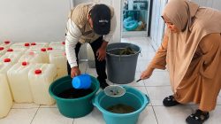 Menuju Pertanian Berkelanjutan, Gorontalo Perkuat Penerapan Pengendalian Hama Terpadu
