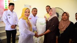 Tegaskan Tepat Sasaran, Idah Syahidah Serahkan Langsung Beras CBP di Desa Teratai