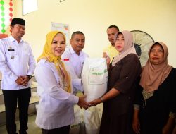 Tegaskan Tepat Sasaran, Idah Syahidah Serahkan Langsung Beras CBP di Desa Teratai