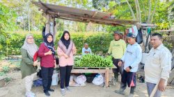 Amankan Konsumsi Publik, OKKPD Gorontalo Audit Lapangan Sertifikasi Prima 3 untuk Petani Lokal