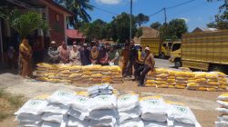 Realisasi 100 Persen, DKPTPH Gorontalo Rampungkan Penyaluran 75 Ton Benih Jagung di Boalemo