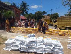 Realisasi 100 Persen, DKPTPH Gorontalo Rampungkan Penyaluran 75 Ton Benih Jagung di Boalemo