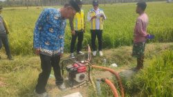 Respons Cepat Krisis Air, Kolaborasi Pemerintah dan Petani Selamatkan Puluhan Hektare Padi Paguat
