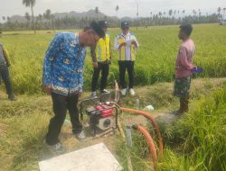 Respons Cepat Krisis Air, Kolaborasi Pemerintah dan Petani Selamatkan Puluhan Hektare Padi Paguat