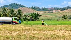 Tindak Lanjut Monitoring PM-AAS, BWS Mobilisasi Mobil Tangki untuk Selamatkan Pertanaman Terdampak Kekeringan di Boalemo