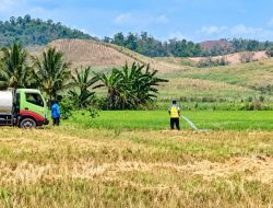Tindak Lanjut Monitoring PM-AAS, BWS Mobilisasi Mobil Tangki untuk Selamatkan Pertanaman Terdampak Kekeringan di Boalemo