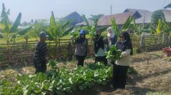 OKKPD Gorontalo Teliti Sumber Air Usaha Selada di Bone Bolango Pasca Temuan Bakteri E. coli