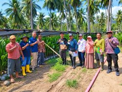 Dukung Hilirisasi Perkebunan, 264 Ribu Bibit Kelapa Unggul Gorontalo Siap Didistribusikan