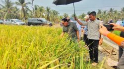 DKPTPH Gorontalo Pantau Program Pertanian di Tiga Kabupaten, Pastikan Bantuan Tepat Sasaran dan Bermanfaat bagi Petani