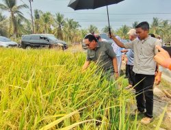 DKPTPH Gorontalo Pantau Program Pertanian di Tiga Kabupaten, Pastikan Bantuan Tepat Sasaran dan Bermanfaat bagi Petani
