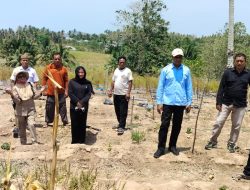 Pastikan Tepat Sasaran, Dinas KPTPH Gorontalo Verifikasi CPCL Pengembangan Cabai dan Bawang Merah