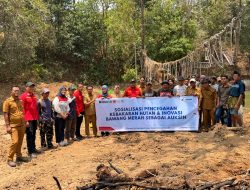 Dari Cegah Karhutla hingga Auksin Alami, Pertamina Kembangkan Konservasi Berkelanjutan di Maros