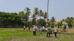 Antisipasi Kekeringan, Balintan Gorontalo Perkuat Kesiapsiagaan Petani Padi Sawah