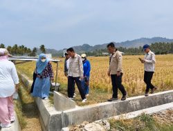 Dukung Kelancaran Air ke Lahan Petani, DKPTPH Gorontalo Tinjau Program PITER di Pohuwato