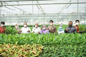 Gubernur Sumatera Utara dan Bupati Asahan Kunjungi Perusahaan Benih Pisang